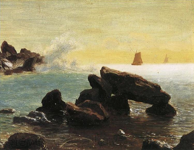 Albert Bierstadt Farallon Islands, off San Francisco in the Pacific, Northern California Norge oil painting art
